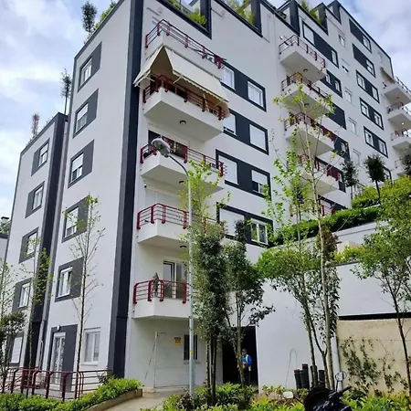 Garden * Tirana